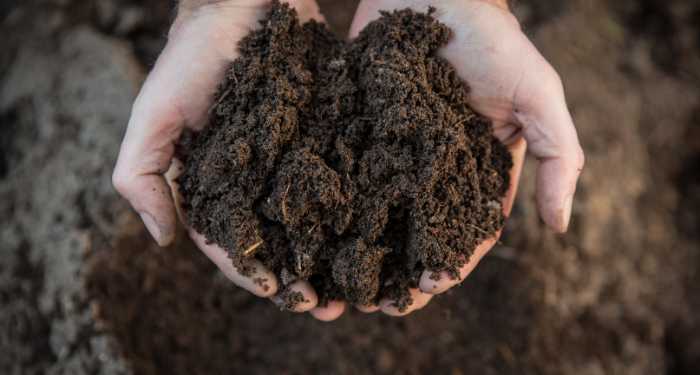 persons hands holding soil