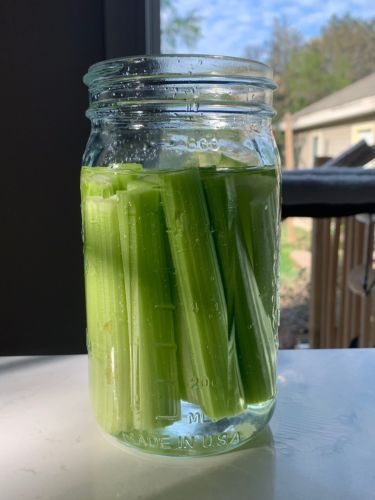 celery in mason jar