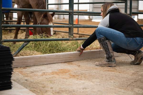 woman leveling the base for horse stall flooring installation