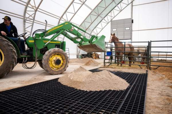 tractor infilling the horse stall flooring units